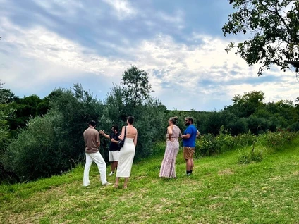 Degustazione Olio Extravergine del Garda: Tour Panoramico ed Esperienza Sensoriale 13 Degustazione Olio Extravergine del Garda: Tour Panoramico ed Esperienza Sensoriale 13